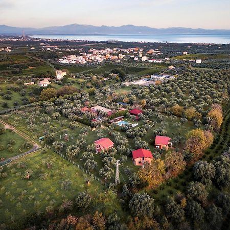 La Piana Degli Ulivi Acomodação com café da manhã Rossano Exterior foto