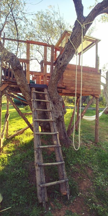 La Piana Degli Ulivi Acomodação com café da manhã Rossano Exterior foto