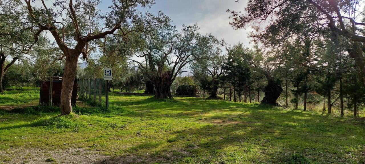 La Piana Degli Ulivi Acomodação com café da manhã Rossano Exterior foto