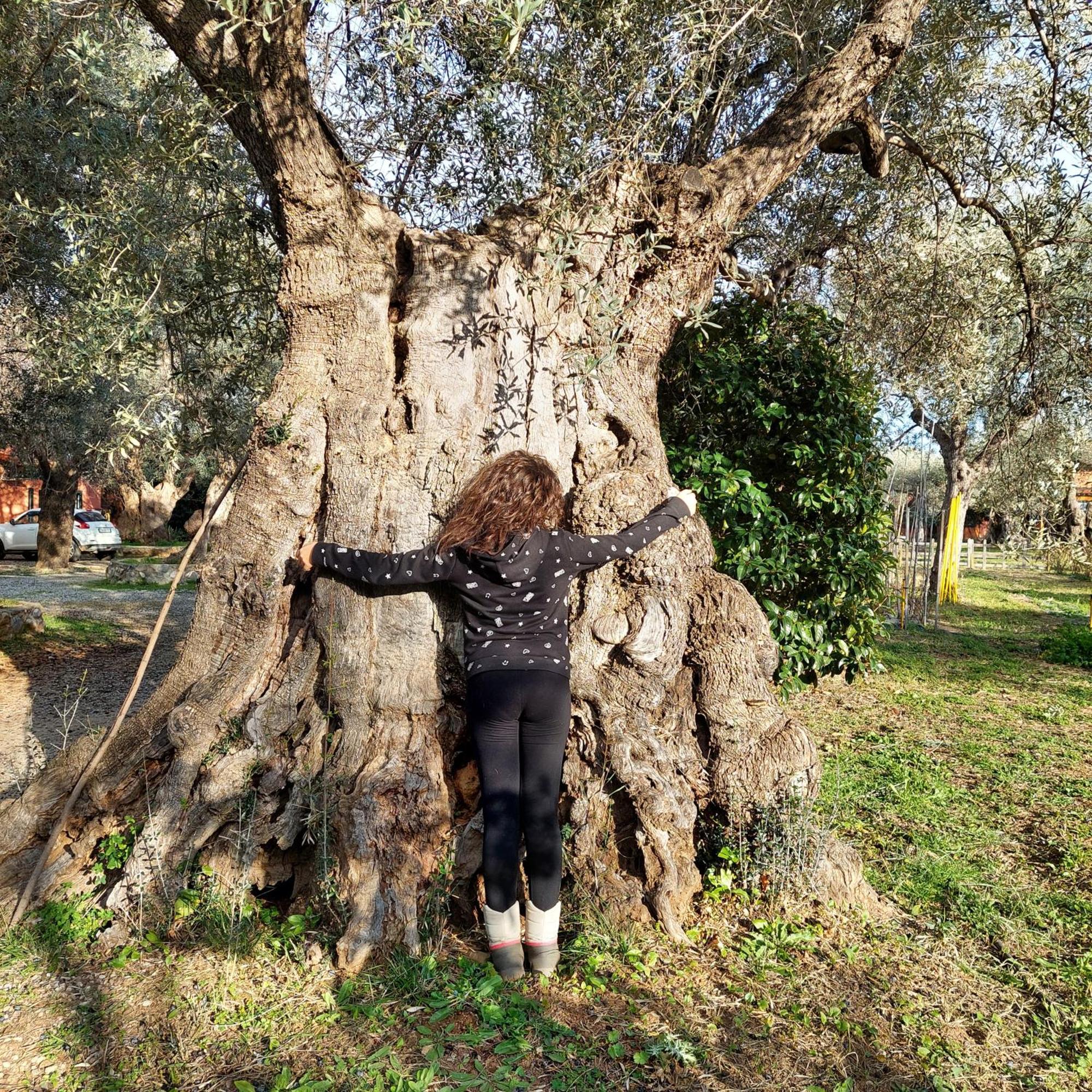 La Piana Degli Ulivi Acomodação com café da manhã Rossano Exterior foto