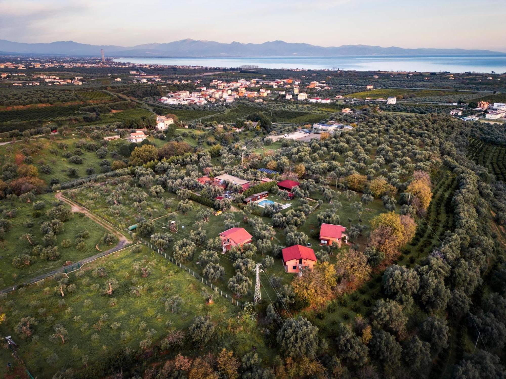 La Piana Degli Ulivi Acomodação com café da manhã Rossano Exterior foto