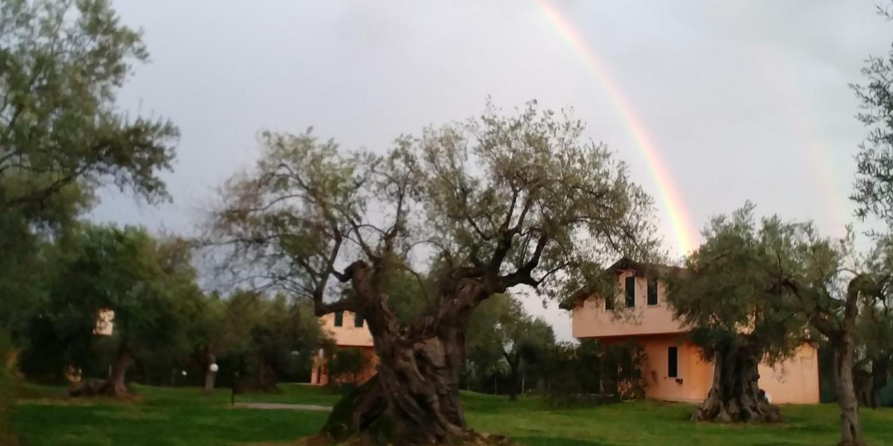 La Piana Degli Ulivi Acomodação com café da manhã Rossano Exterior foto